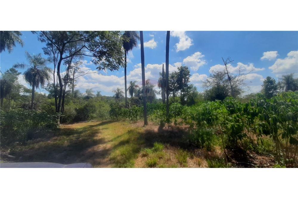 VENDO 11 HECTAREAS EN ALTOS DE PURA VEGETACION — foto 2