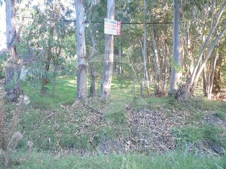 Terreno En Bella Vista