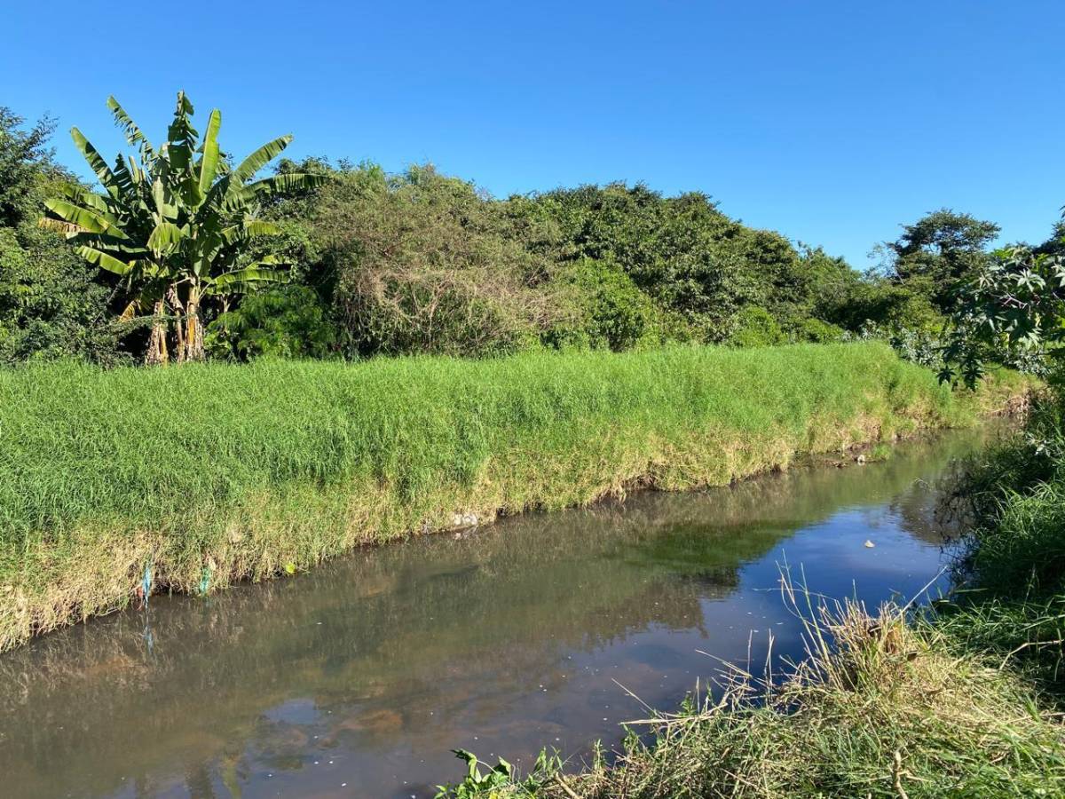 VENDO 24 HECTÁREAS EN ISLA BOGADO - LUQUE — foto 2
