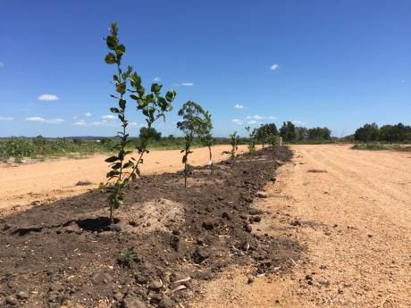 Lote En Venta