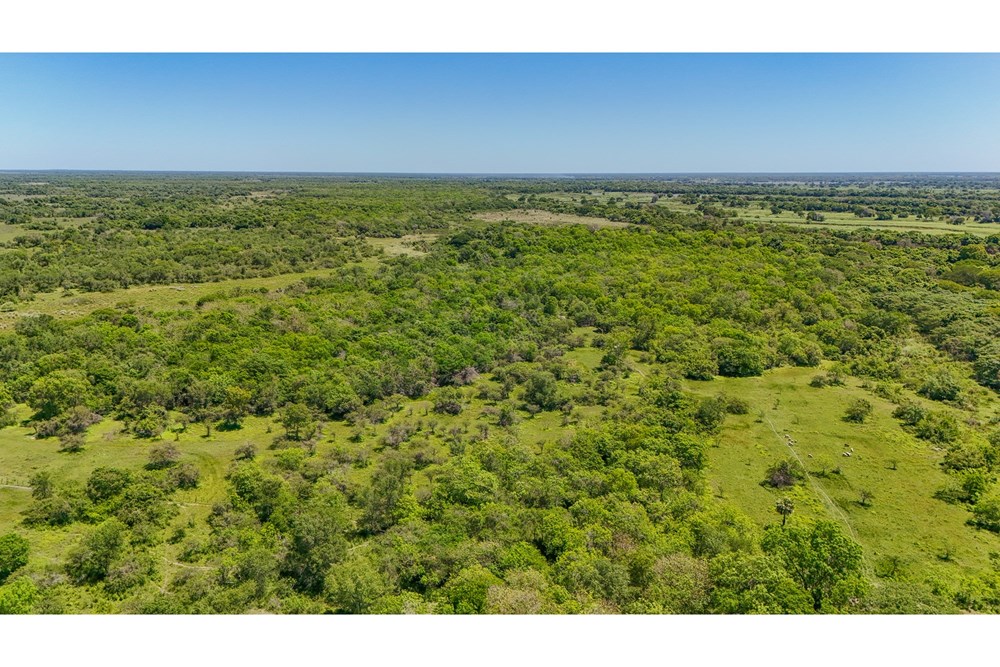 Terreno-Venta-mburica, Pilar, Ñeembucú — foto 3
