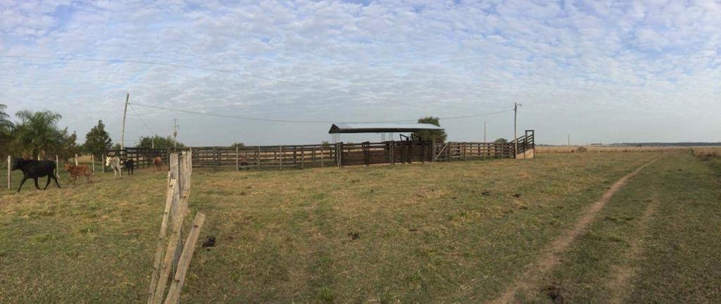 VENDO 90 HECTAREAS EN YBYCUI — foto 3