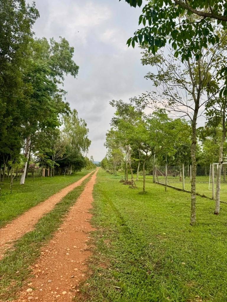 VENDO TERRENO DE 920 M2 EN VILLA REAL - EL CORTIJO SAN BERNARDINO — foto 2