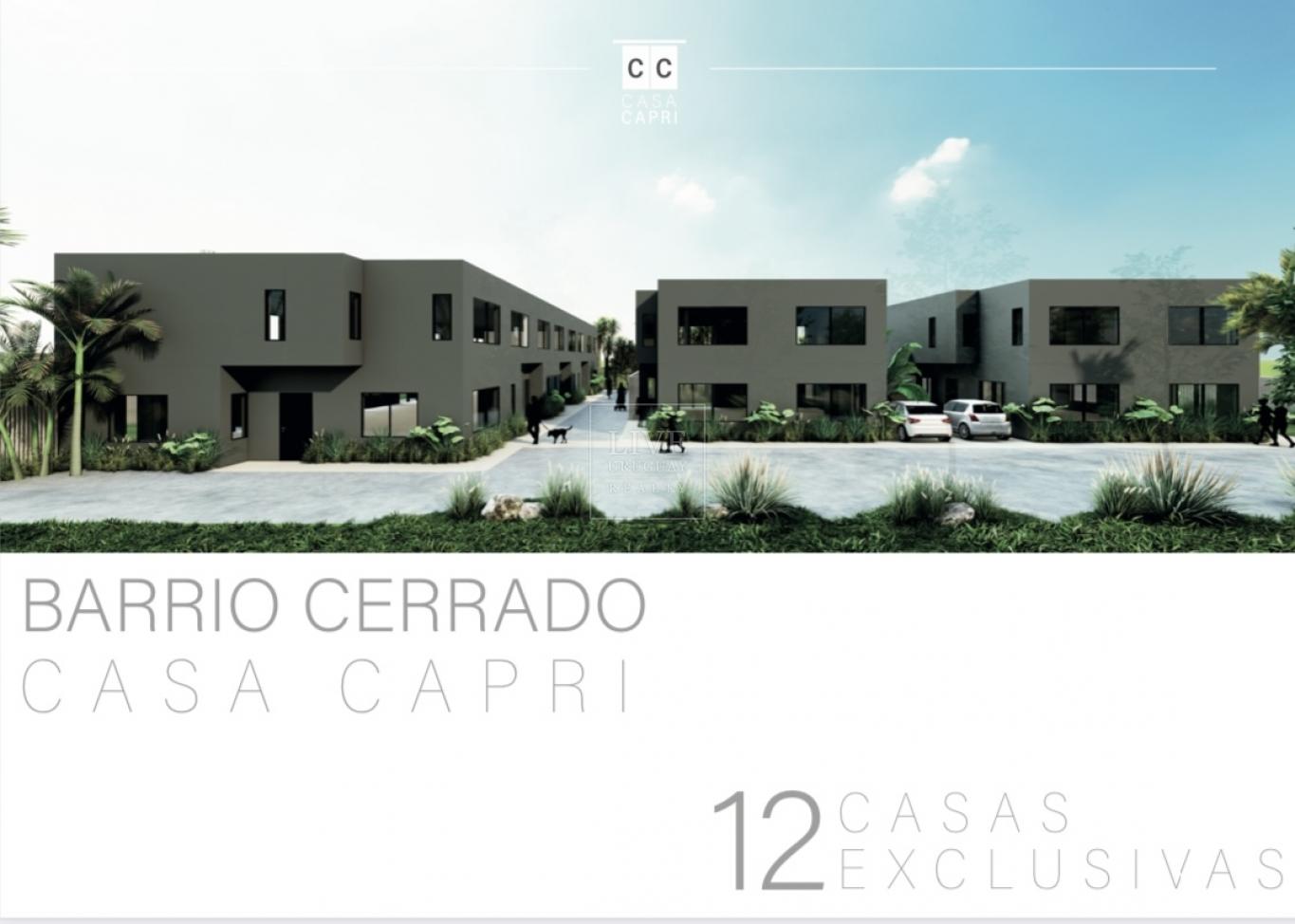 Foto 3 de 8