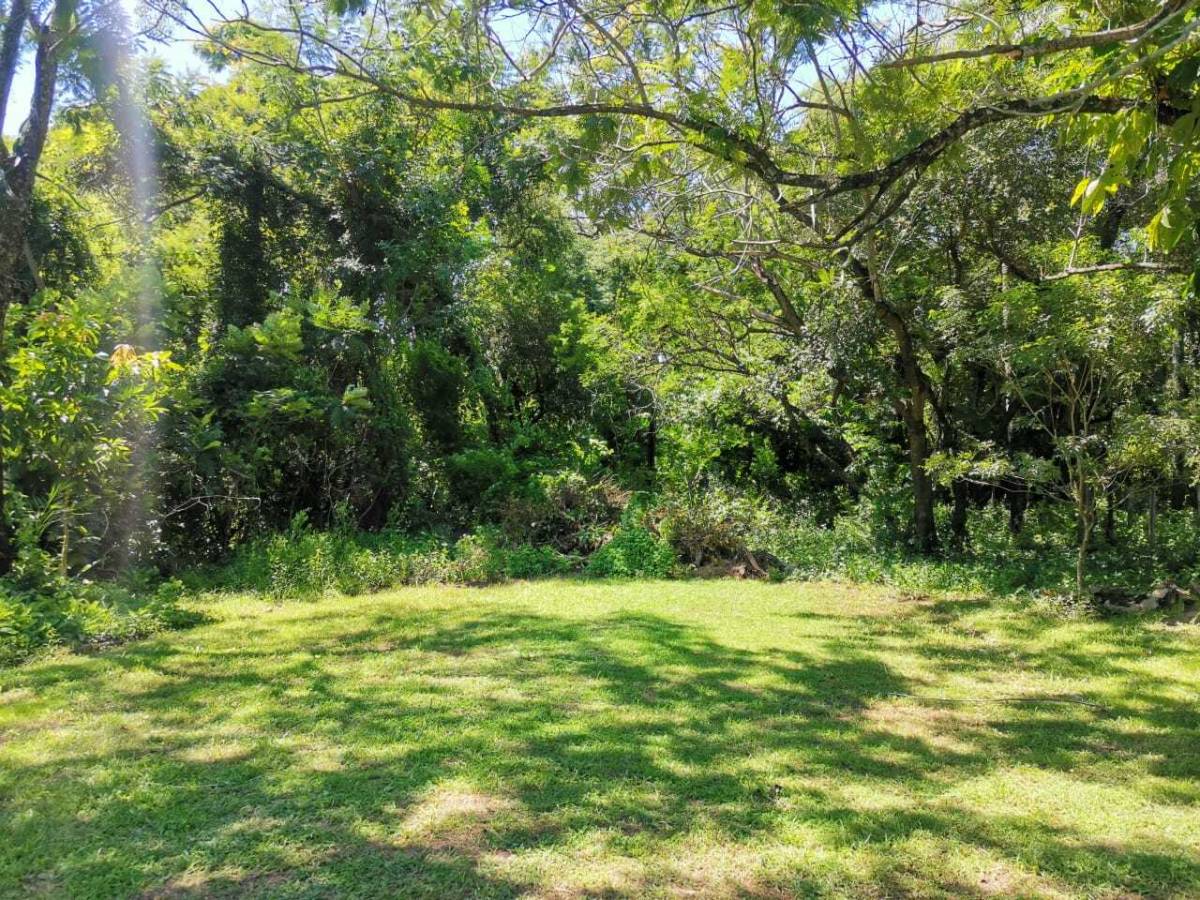 En venta amplio terreno en San Bernardino — foto 2