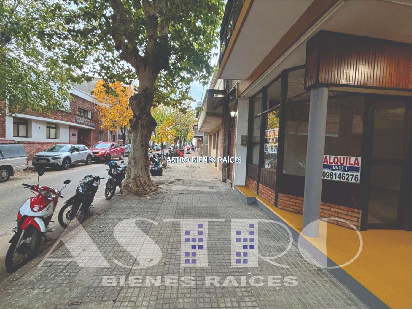 Oficinas en Alquiler Melo