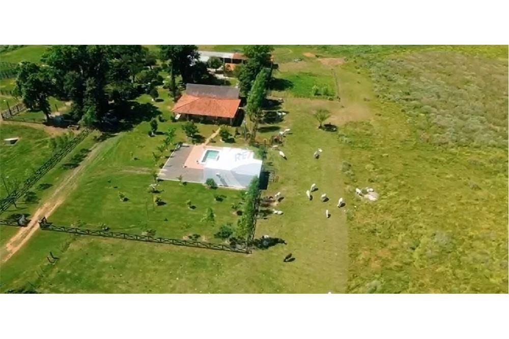 VENDO ESTANCIA GANADERA EN ISLA PUCU CORDILLERA — foto 3