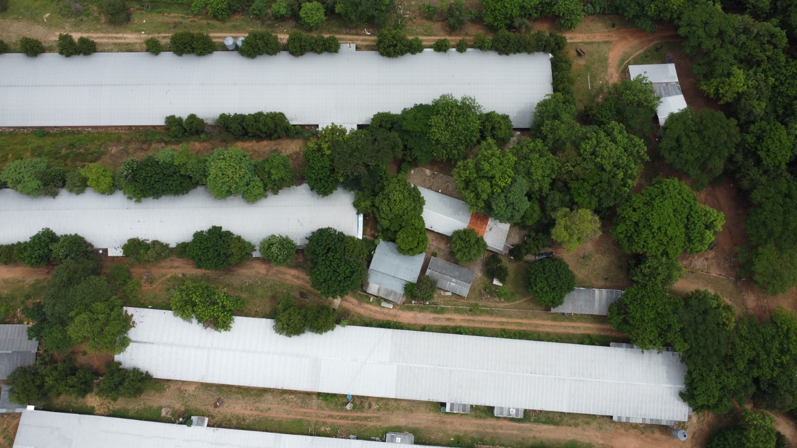 Vendo Granja Avícola En Altos — foto 2