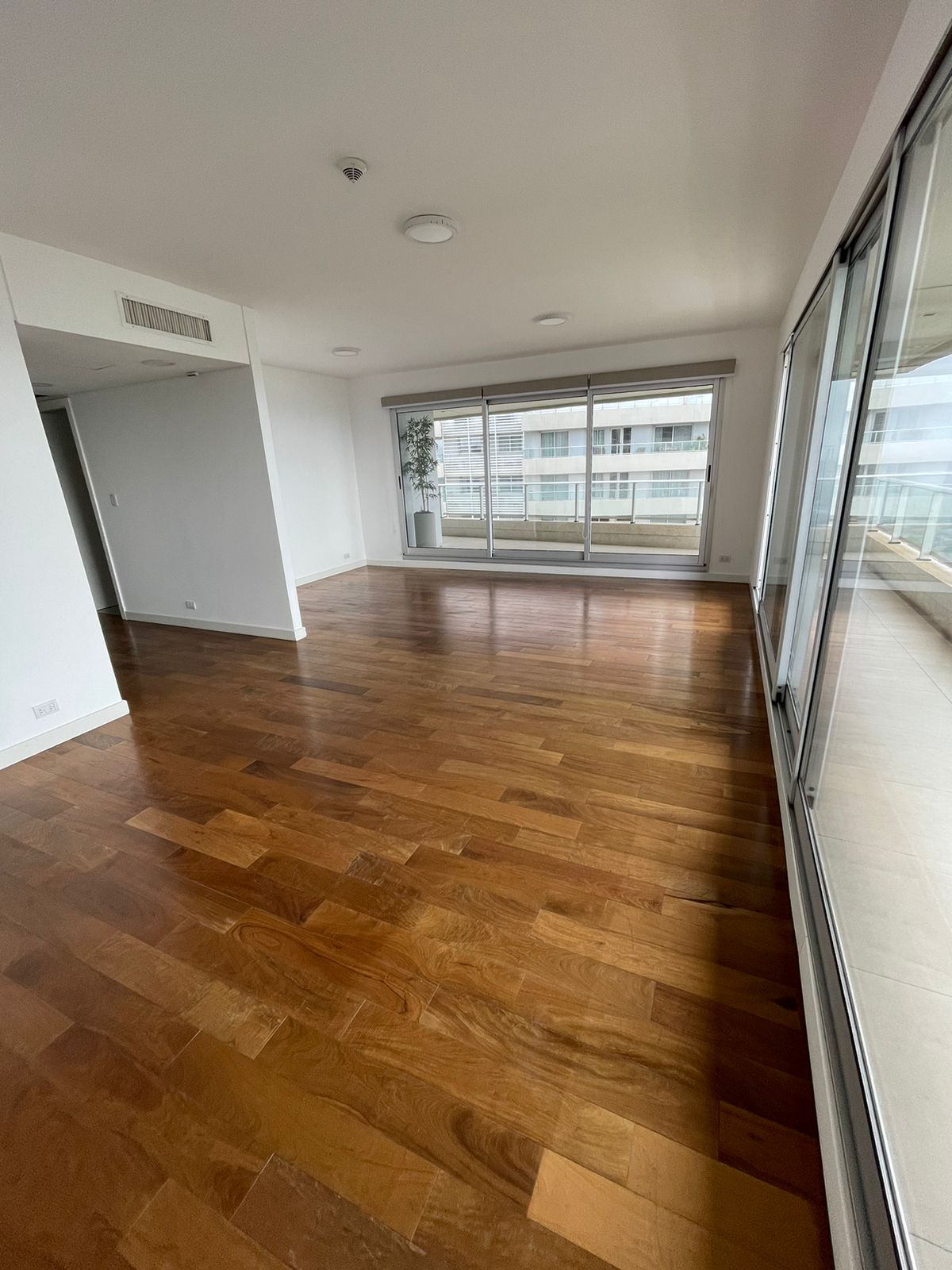 Alquilo hermoso departamento en Palacio De Los Patos — foto 2
