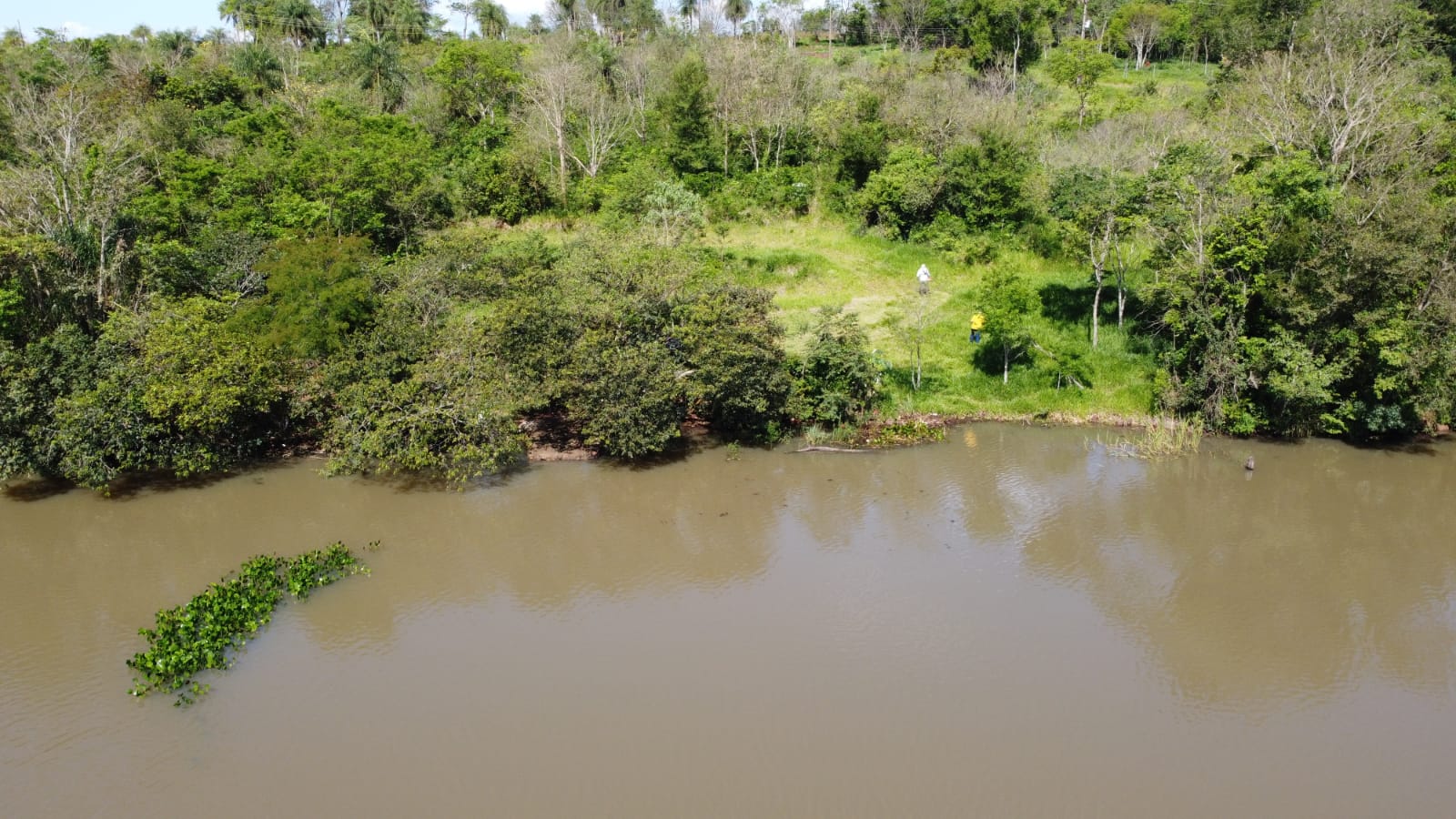 VENDO 1 HA EN EL KM 12, SOBRE EL  ACARAY — foto 3
