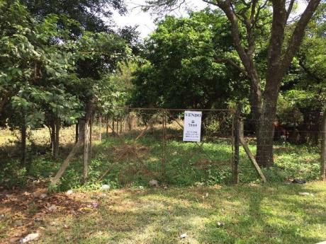 Lote En Venta Fernando De La Mora, Fernando De La Mora