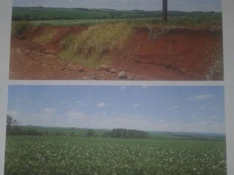 Campo De 1.800 Hectareas A 1 Km Del Asfalto