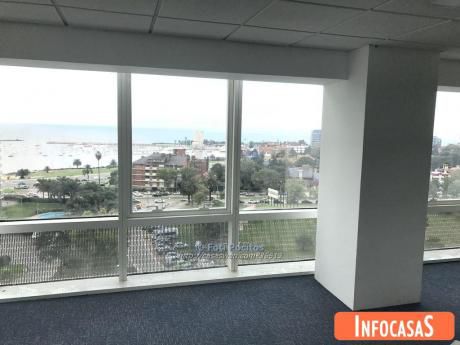 Oficina Premium, Calidad, Confort Y Seguridad