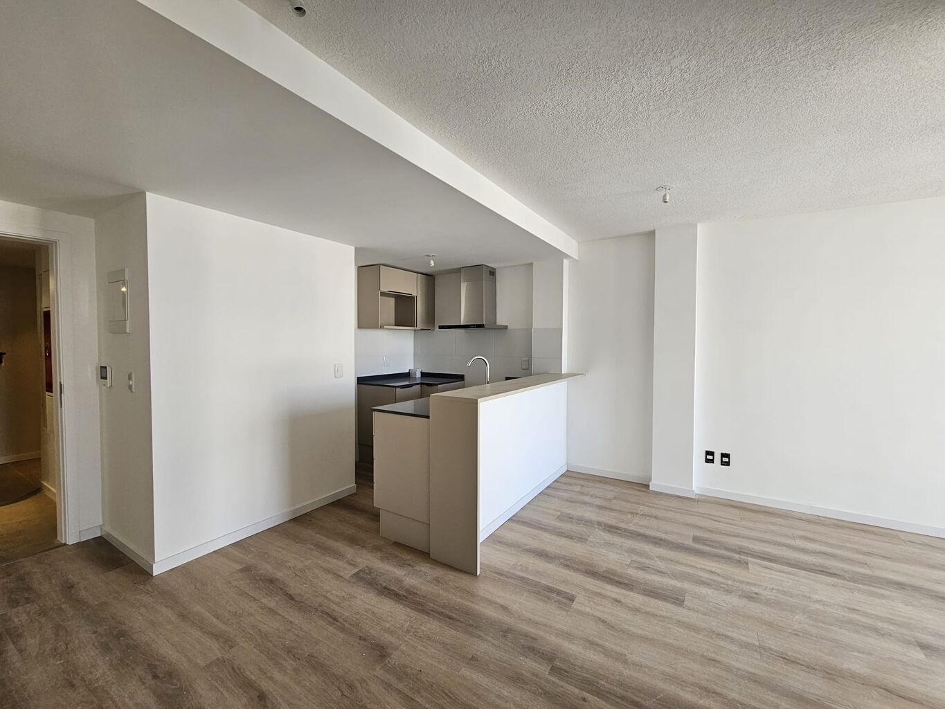Apartamento 2 Dormitorios La blanqueada