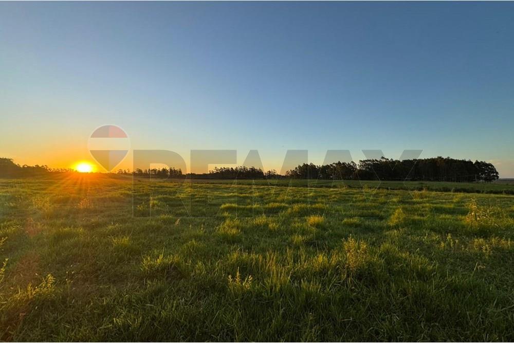 Vendo Campo de 2.233 Hectáreas en Caazapa, Distrito Dolores — foto 3