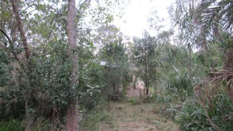 Chacra En Santa Ana