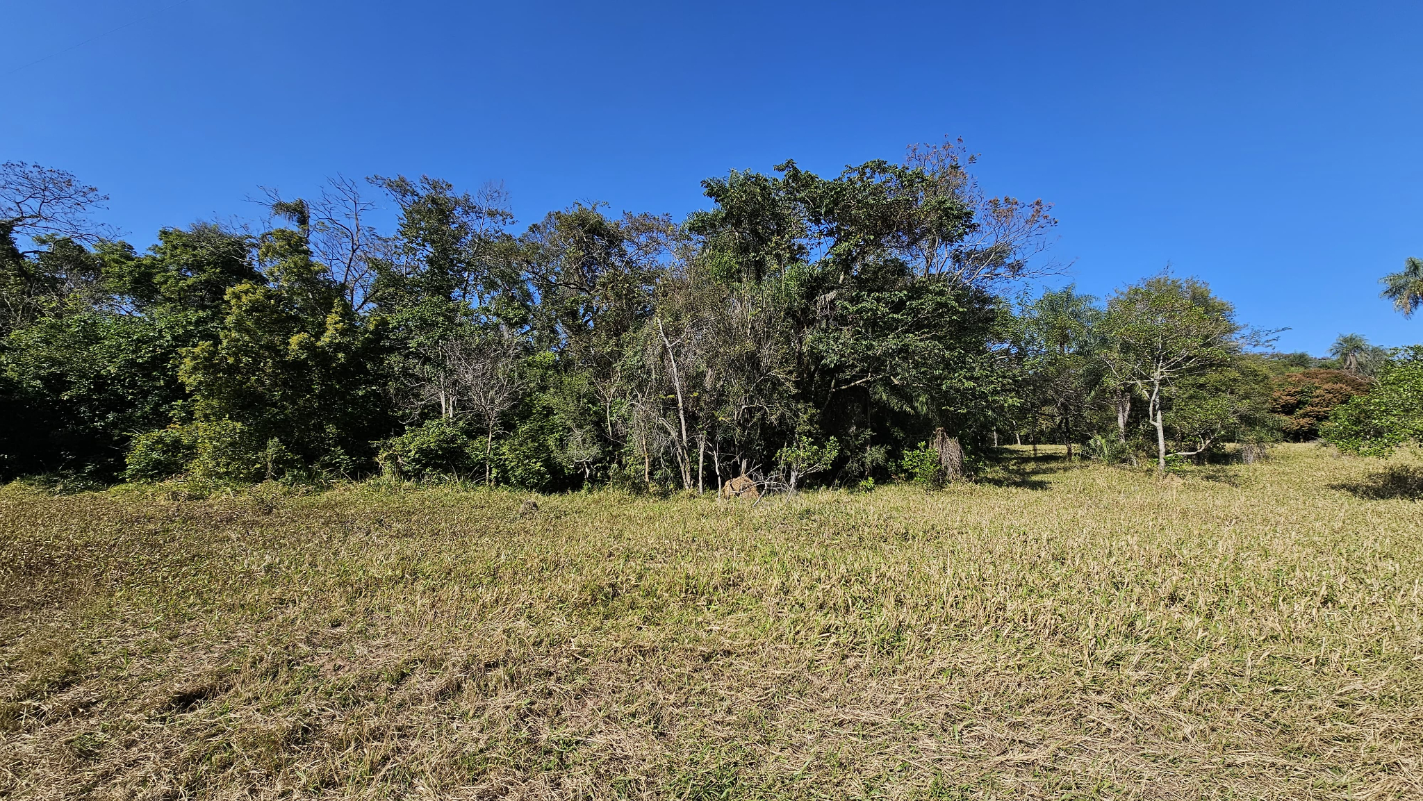 TERRENO EN VENTA EN QUINTA BELVEDERE DE ATYRÁ — foto 2