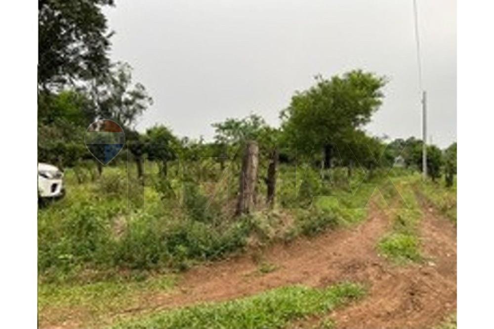 VENDO TERRENO EN ALTO VERA - ITAPUA — foto 3