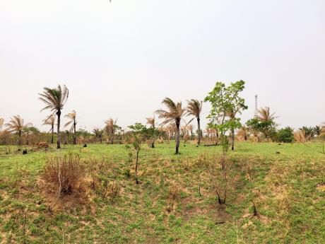 Terreno A 100mt De La Carretera A Porongo - Urubo