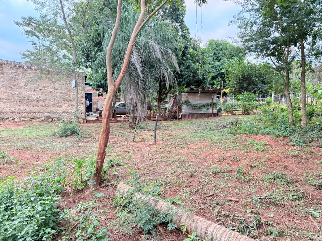 Terreno-venta-cuatro vientos-Limpio — foto 3