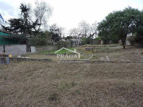Terrenos En El Pinar