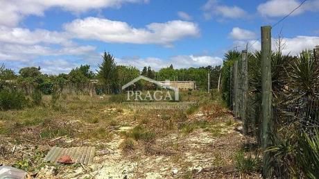 Terrenos En El Pinar