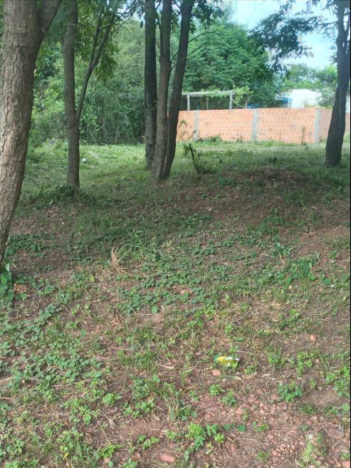 Vendo 2 Terrenos de 360 m2 en Limpio  a 100 mts del Asfalto — foto 2
