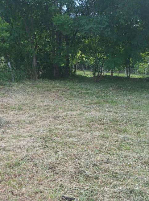 Vendo 2 Terrenos de 360 m2 en Limpio  a 100 mts del Asfalto — foto 3