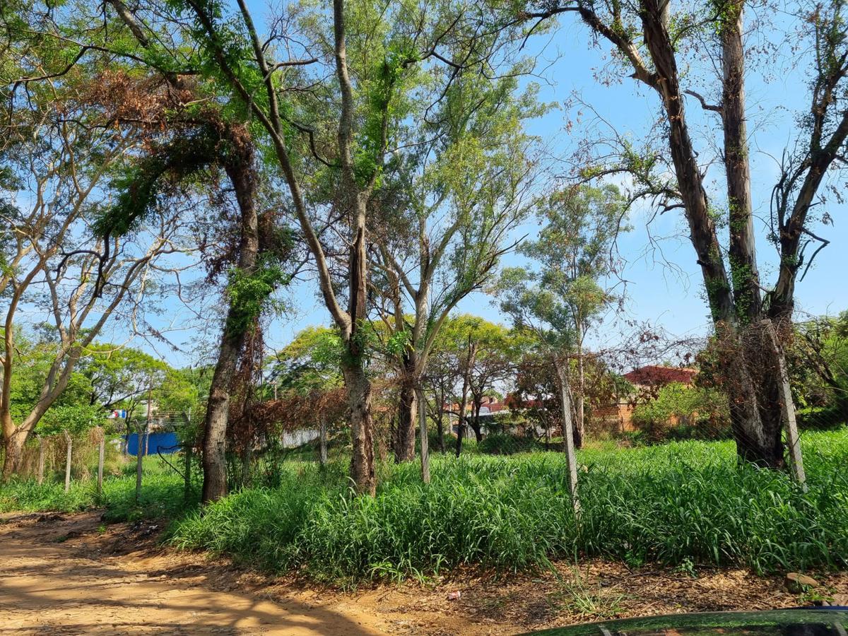 Alquilo Terreno De 6.020 M2 Para Uso Comercial En Fernando De La Mora Zona Norte — foto 3