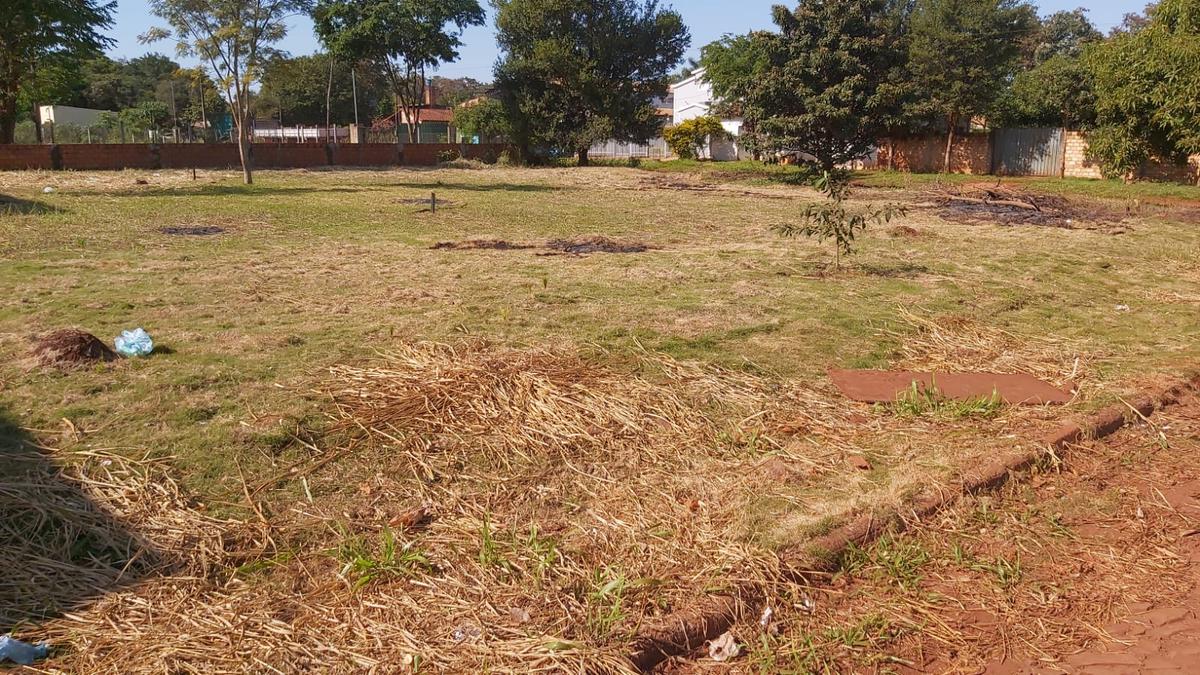 Vendo Terreno de 720 M2 a 200 Mts de la Ruta En Minga Guazú — foto 2