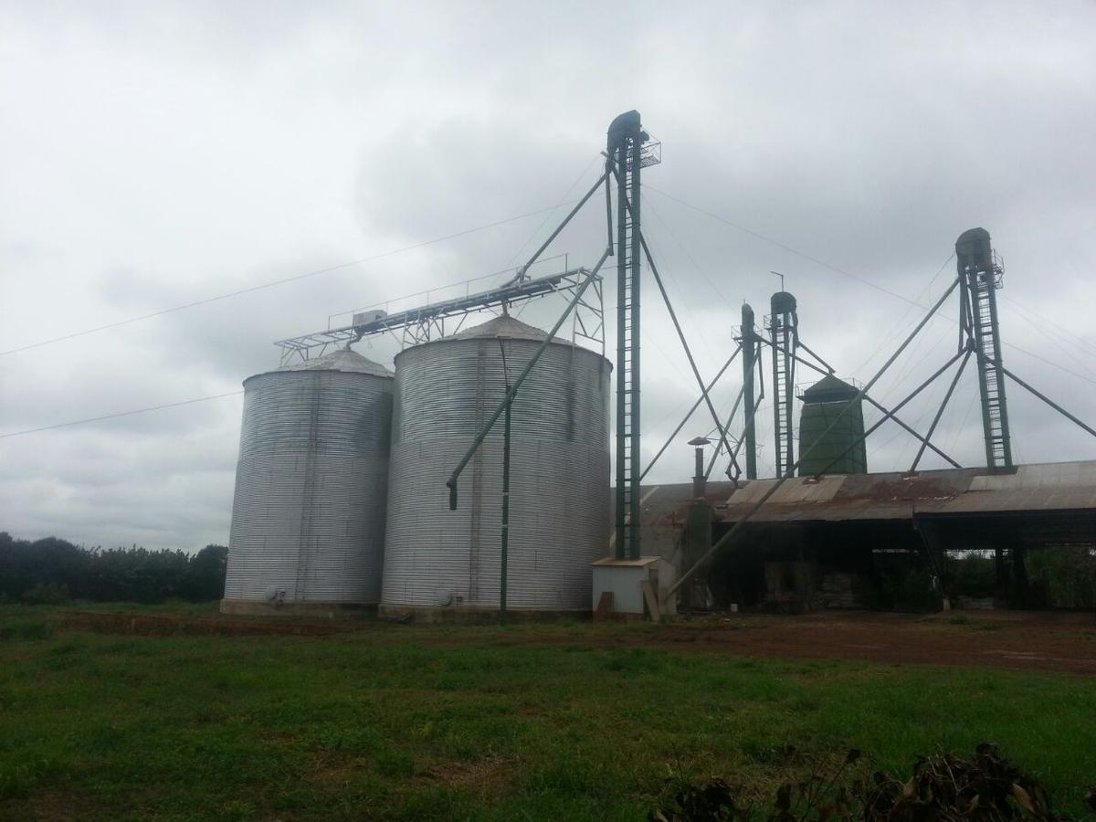 Vendo Propiedad De 3 Héctareas Con Silo En La Ciudad De Naranjito — foto 2