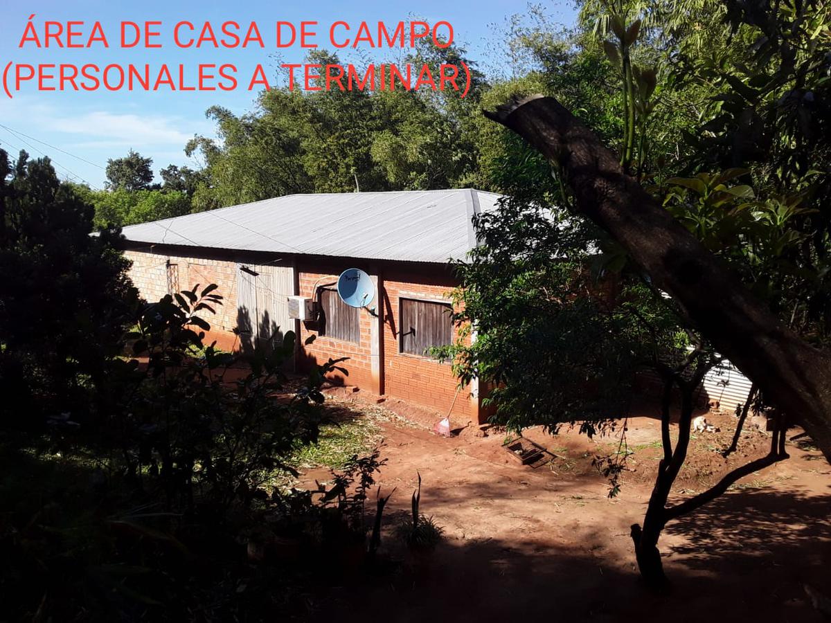 VENDO 44 HAS DE CAMPO MUNICIPIO RAUL ARSENIO OVIEDO A 35 KM (CAMPO 9) — foto 3