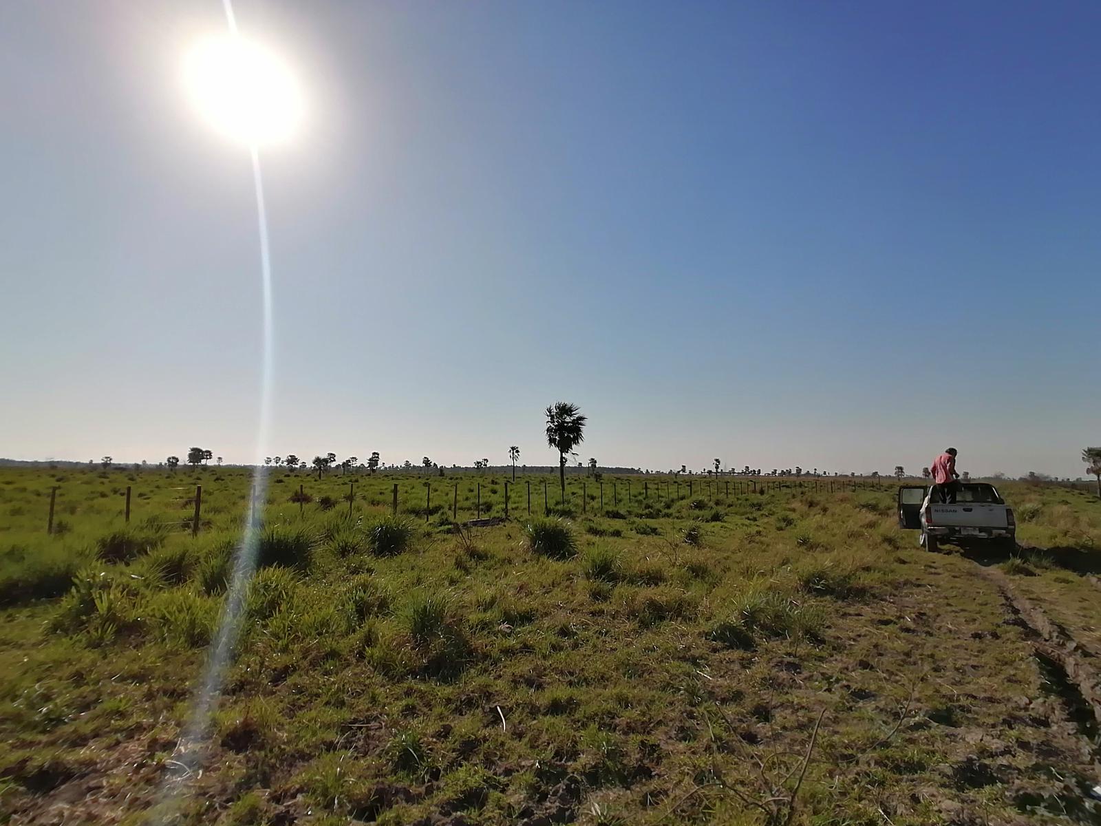 Vendo Campo De 262 Hectáreas En Estanzuela Distrito De Villa Oliva — foto 2