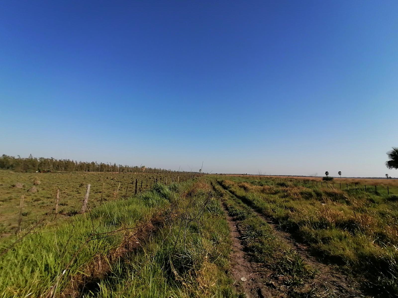 Vendo Campo De 262 Hectáreas En Estanzuela Distrito De Villa Oliva — foto 3