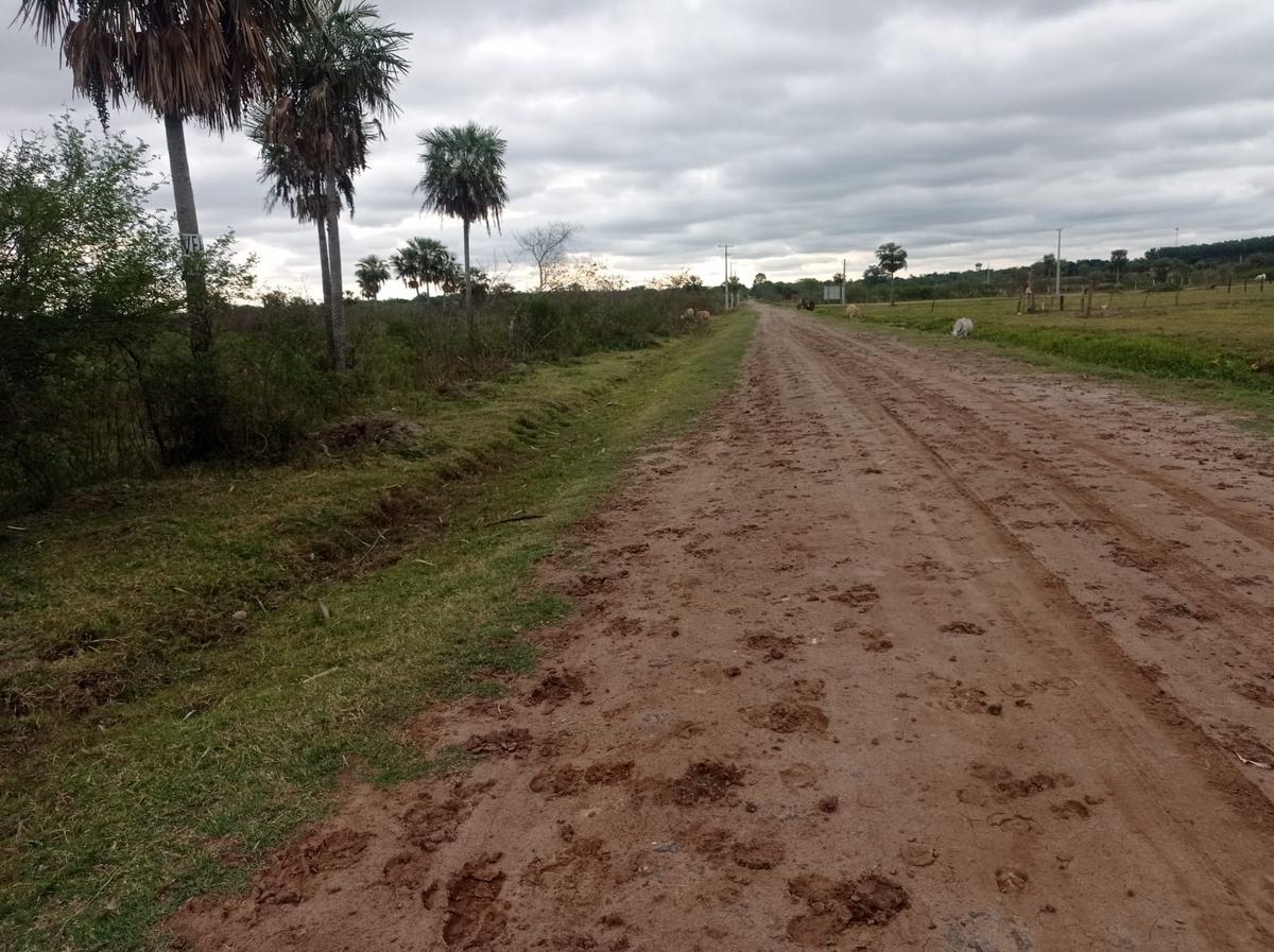Campo de 10 Hectáreas en Benjamín Aceval — foto 3