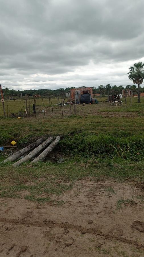 Campo de 10 Hectáreas en Benjamín Aceval — foto 2