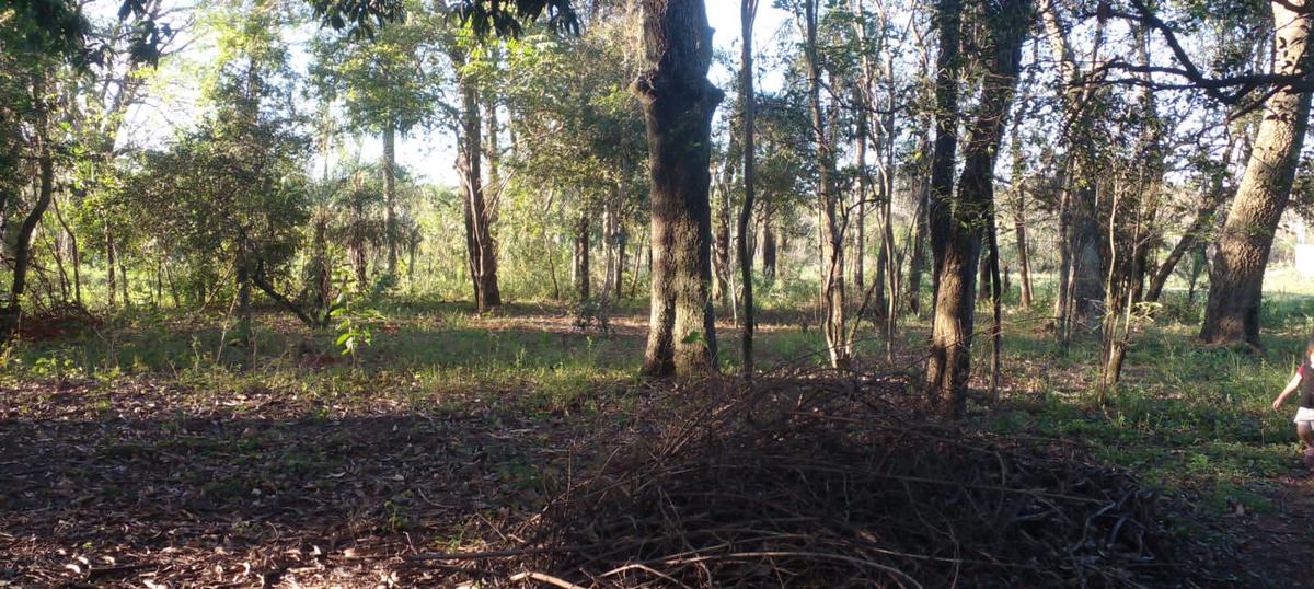 VENDO TERRENO EN CAPIATA RUTA 1 KM 20 — foto 2