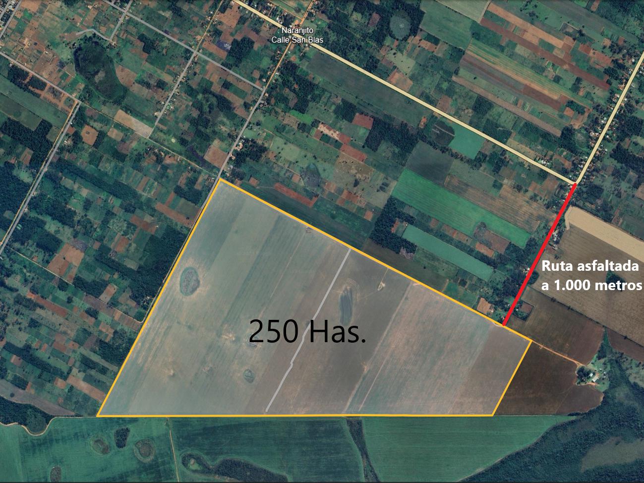 Vendo 250 hectáreas mecanizado con soja en Naranjito San Pedro — foto 3