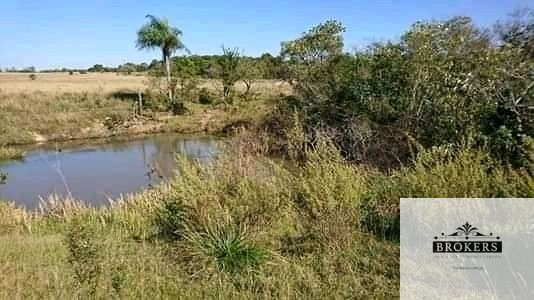 Vendo Propiedad de 115 Hectáreas  en la Ciudad de Caapucu — foto 3