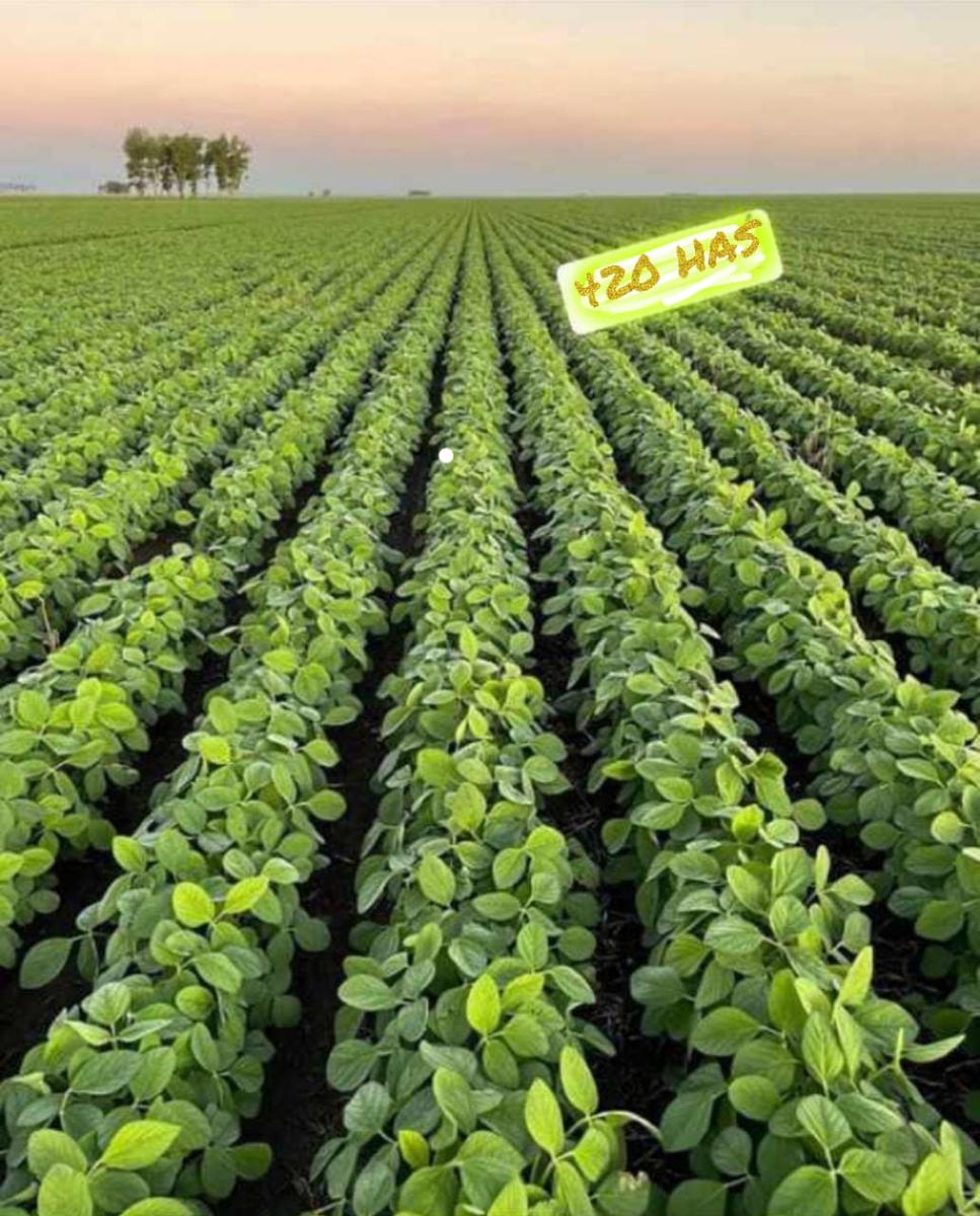 Vendo Campo Agronadero de 620 Hectáreas  en Paraguarí — foto 2