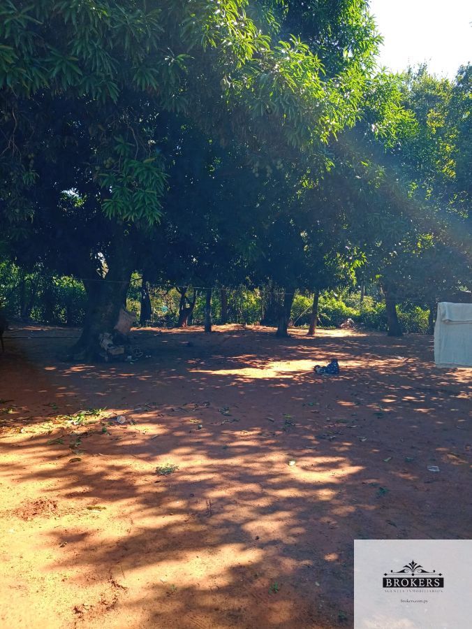 Terreno en venta de 1200 m2 ubicado en Itauguá — foto 3