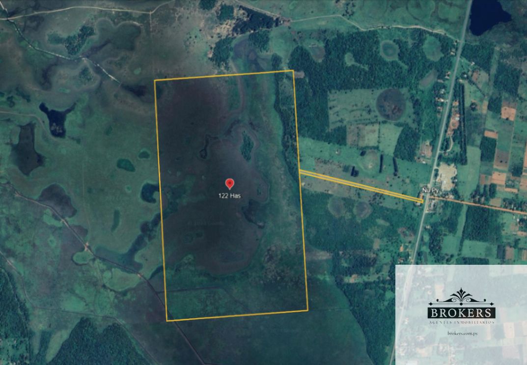 Vendo Campo De 122 Hectáreas En Simón Bolívar, Caaguazú — foto 3
