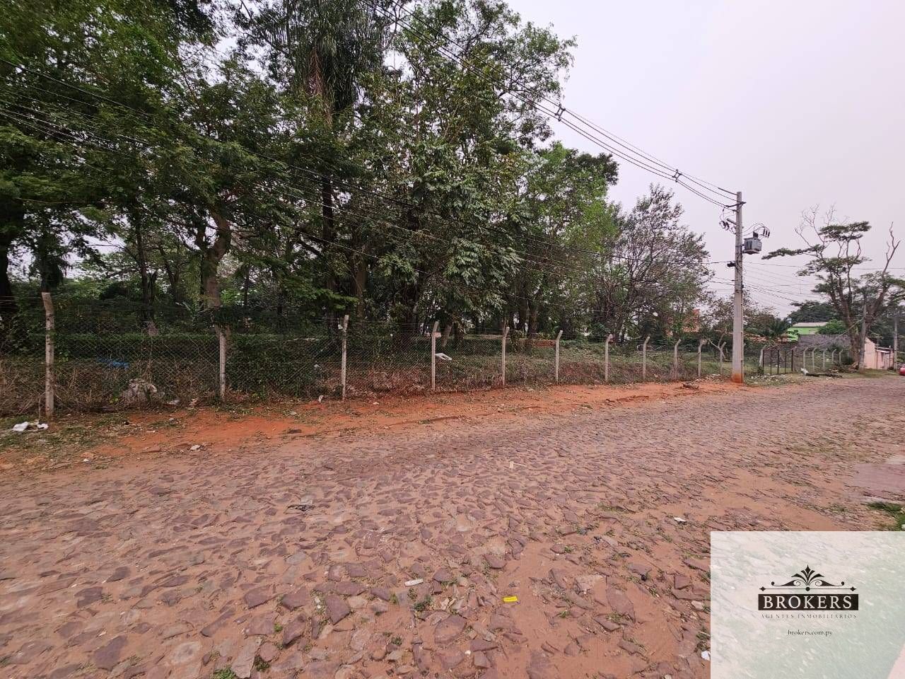 Alquilo Amplio Terreno En Esquina De 7.136 m2 En Villa Elisa — foto 2