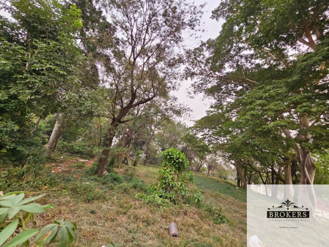 Alquilo Amplio Terreno En Esquina De 7.136 m2 En Villa Elisa — foto 3