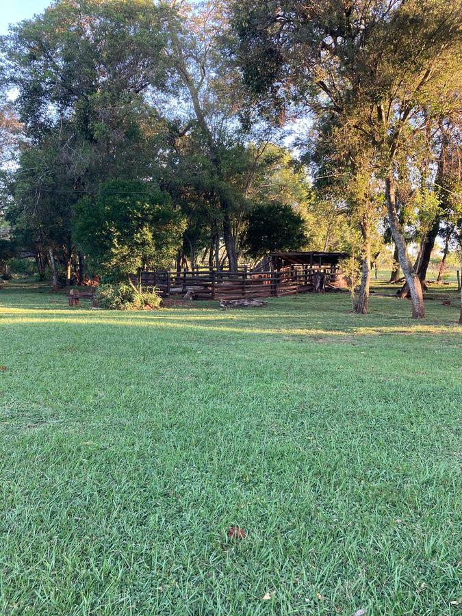 Vendo Granja Formada De 11 Hectareas En Piribebuy, Cordillera — foto 3