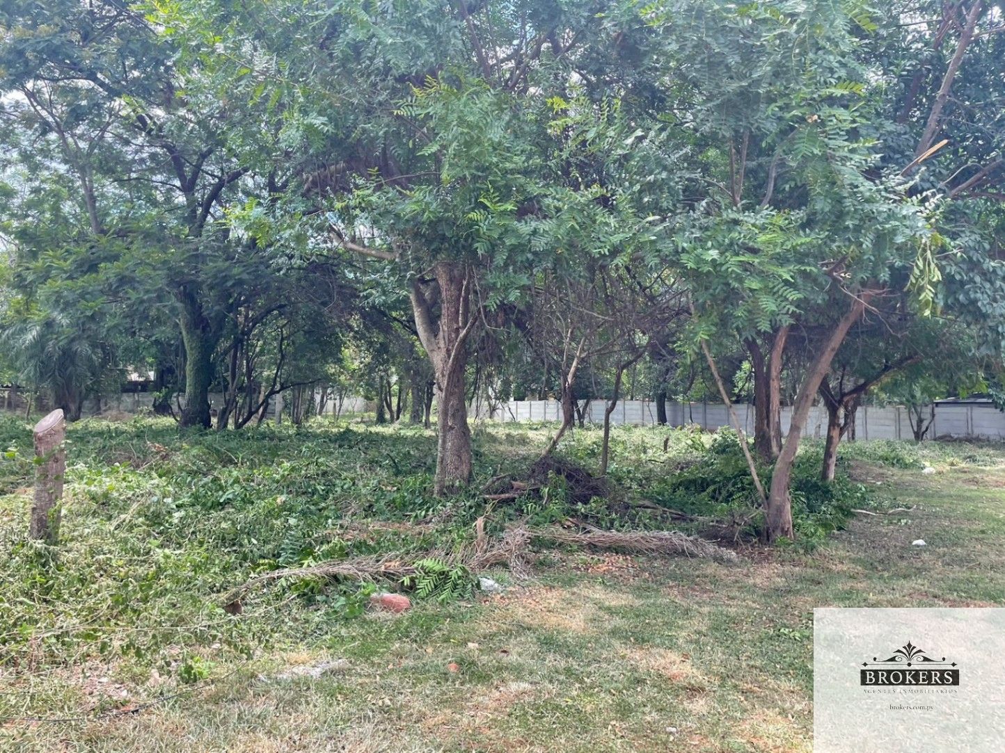 Vendo Terreno En Esquina De 1.600 M2 En La ciudad de Luque - Loma Merlo — foto 2