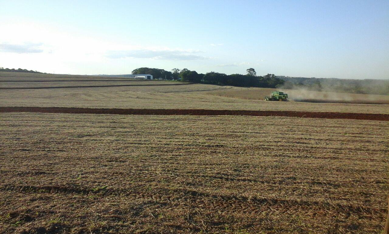 Vendo 1.005 Has. De Campo Sobre Rio Curuguaty — foto 2