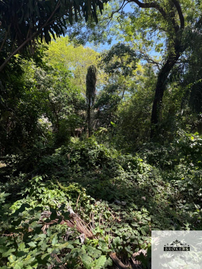 Vendo Terreno De 384 m2 En Barrio Las Lomas — foto 2