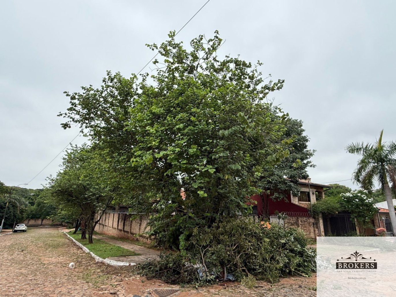 Vendo Terreno En Esquina De 525 m2 Zona Parque De La Salud - Zona Residencial — foto 2