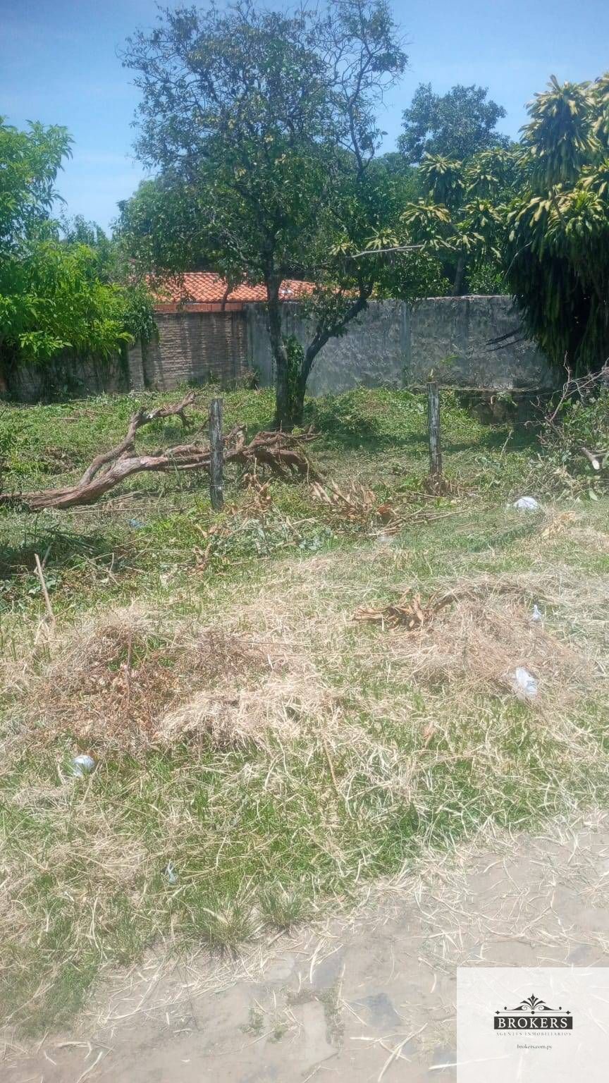 Terreno en venta de 360m2 ubicado en Bo. Colón, San Bernardino — foto 3